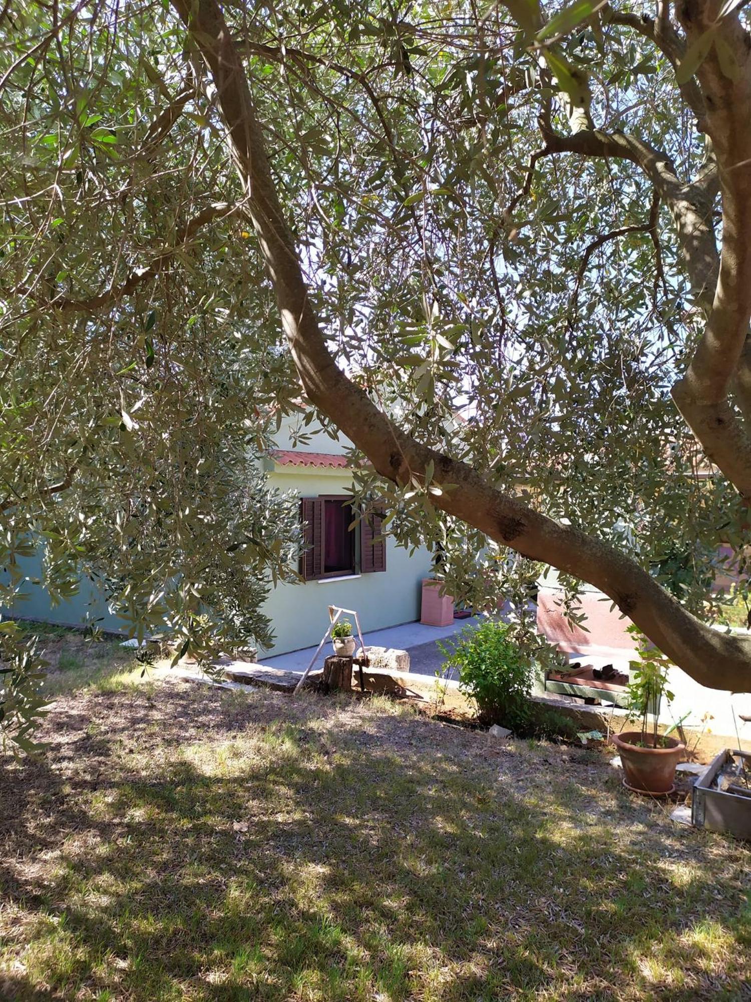 Apartmani Tara Medulin Zewnętrze zdjęcie